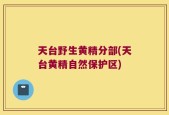 天台野生黄精分部(天台黄精自然保护区)