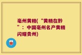 毫州黄精(“黄精在黔”：中国毫州名产黄精闪耀贵州)