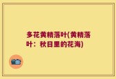 多花黄精落叶(黄精落叶：秋日里的花海)