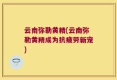云南弥勒黄精(云南弥勒黄精成为抗疲劳新宠)
