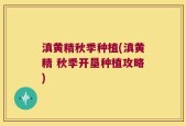 滇黄精秋季种植(滇黄精 秋季开垦种植攻略)