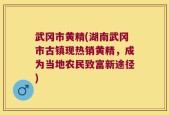 武冈市黄精(湖南武冈市古镇现热销黄精，成为当地农民致富新途径)