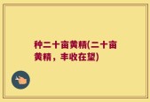 种二十亩黄精(二十亩黄精，丰收在望)