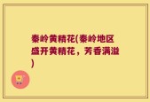 秦岭黄精花(秦岭地区盛开黄精花，芳香满溢)