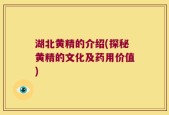 湖北黄精的介绍(探秘黄精的文化及药用价值)