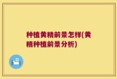 种植黄精前景怎样(黄精种植前景分析)