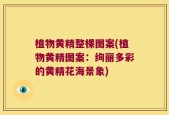 植物黄精整棵图案(植物黄精图案：绚丽多彩的黄精花海景象)