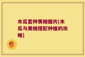 木瓜套种黄精图片(木瓜与黄精搭配种植的攻略)