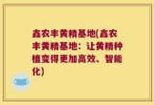鑫农丰黄精基地(鑫农丰黄精基地：让黄精种植变得更加高效、智能化)
