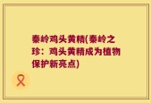 秦岭鸡头黄精(秦岭之珍：鸡头黄精成为植物保护新亮点)