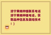 遂宁黄精种植联系电话遂宁黄精种植电话，获取品种信息及栽培技术！)