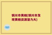 铜川市黄精(铜川市发现黄精资源潜力大)