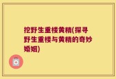 挖野生重楼黄精(探寻野生重楼与黄精的奇妙婚姻)