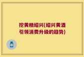 挖黄精绍兴(绍兴黄酒引领消费升级的趋势)