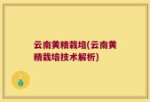 云南黄精栽培(云南黄精栽培技术解析)