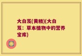 大白芨(黄精)(大白芨：草本植物中的营养宝库)