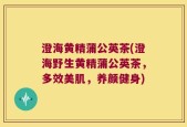 澄海黄精蒲公英茶(澄海野生黄精蒲公英茶，多效美肌，养颜健身)