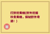 打野挖黄精(野外挖掘珍贵黄精，探秘野外奇遇！)