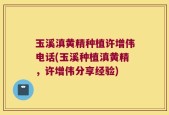 玉溪滇黄精种植许增伟电话(玉溪种植滇黄精，许增伟分享经验)