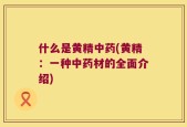 什么是黄精中药(黄精：一种中药材的全面介绍)