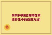 房前种黄精(黄精在家庭养生中的应用方法)