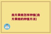 南方黄精怎样种植(南方黄精的种植方法)