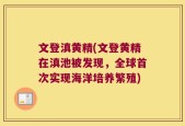 文登滇黄精(文登黄精在滇池被发现，全球首次实现海洋培养繁殖)