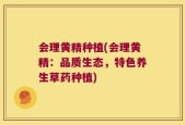 会理黄精种植(会理黄精：品质生态，特色养生草药种植)