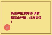 高山种植滇黄精(滇黄精高山种植，品质更佳)