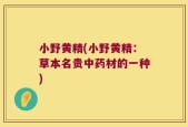小野黄精(小野黄精：草本名贵中药材的一种)