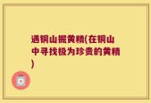 遇铜山掘黄精(在铜山中寻找极为珍贵的黄精)