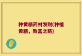 种黄精药材发财(种植黄精，致富之路)