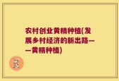 农村创业黄精种植(发展乡村经济的新出路——黄精种植)