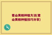 君山黄精种植方法(君山黄精种植技巧分享)