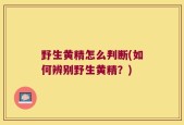 野生黄精怎么判断(如何辨别野生黄精？)