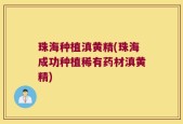 珠海种植滇黄精(珠海成功种植稀有药材滇黄精)