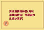海城滇黄精种苗(海城滇黄精种苗：优质苗木扎根沙漠梦)