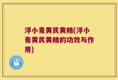浮小麦黄芪黄精(浮小麦黄芪黄精的功效与作用)