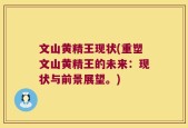 文山黄精王现状(重塑文山黄精王的未来：现状与前景展望。)