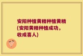 安阳种植黄精种植黄精(安阳黄精种植成功，收成喜人)