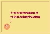 冬天如何寻找黄精(寻找冬季珍贵的中药黄精)