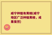 咸宁种植有黄精(咸宁地区广泛种植黄精，成果斐然)