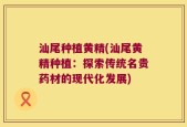 汕尾种植黄精(汕尾黄精种植：探索传统名贵药材的现代化发展)