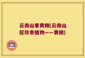 云南山里黄精(云南山区珍贵植物——黄精)