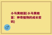 小马黄精苗(小马黄精苗：神奇植物的成长密码)