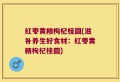 红枣黄精枸杞桂圆(滋补养生好食材：红枣黄精枸杞桂圆)