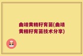 曲靖黄精籽育苗(曲靖黄精籽育苗技术分享)