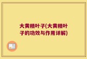 大黄精叶子(大黄精叶子的功效与作用详解)