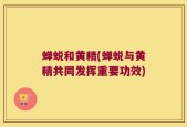 蝉蜕和黄精(蝉蜕与黄精共同发挥重要功效)