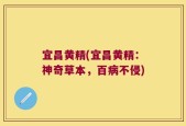 宜昌黄精(宜昌黄精：神奇草本，百病不侵)